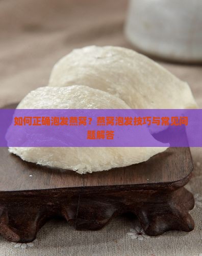 如何正确泡发燕窝？燕窝泡发技巧与常见问题解答