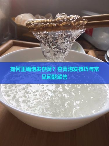 如何正确泡发燕窝？燕窝泡发技巧与常见问题解答