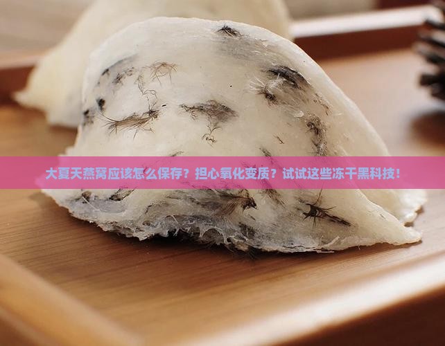 大夏天燕窝应该怎么保存？担心氧化变质？试试这些冻干黑科技！