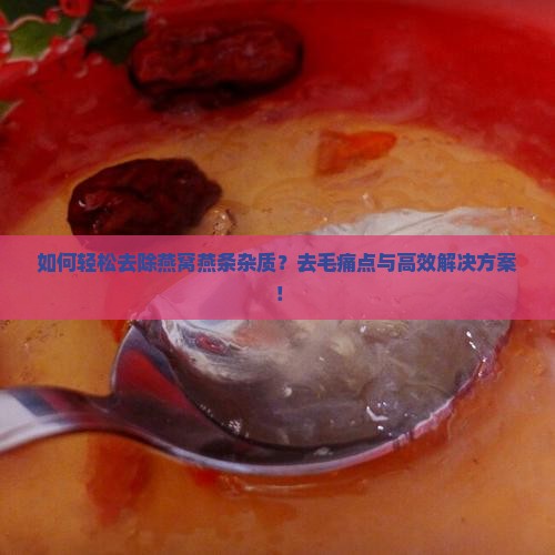 如何轻松去除燕窝燕条杂质？去毛痛点与高效解决方案！