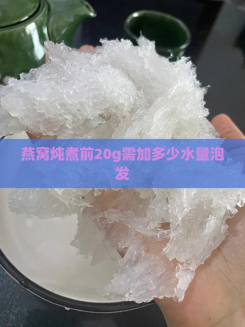 燕窝炖煮前20g需加多少水量泡发
