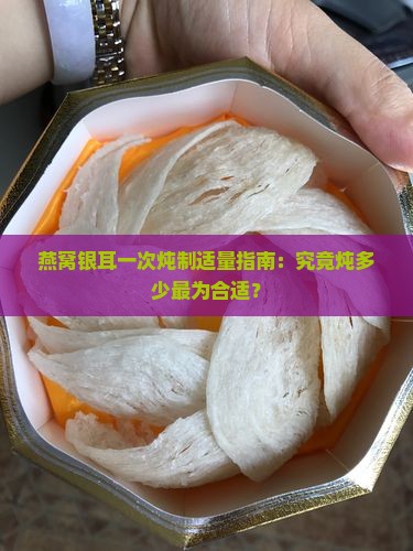 燕窝银耳一次炖制适量指南：究竟炖多少最为合适？