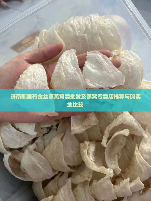 济南哪里有金丝燕燕窝卖批发及燕窝专卖店推荐与购买地比较