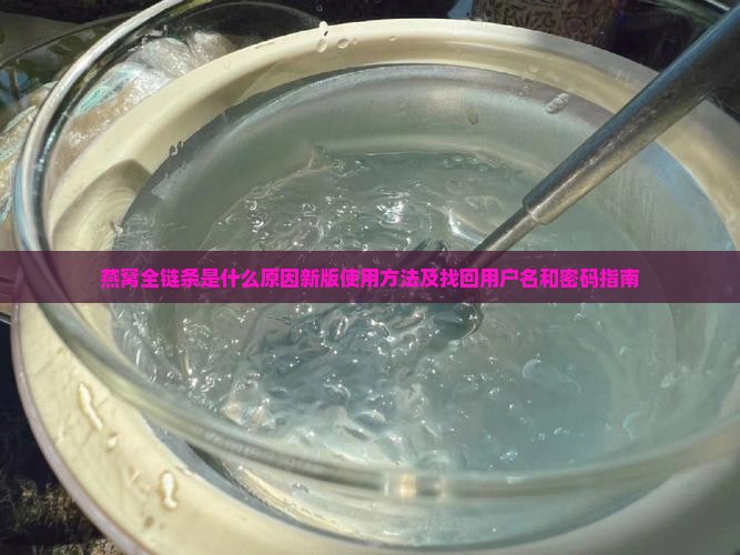 燕窝全链条是什么原因新版使用方法及找回用户名和密码指南