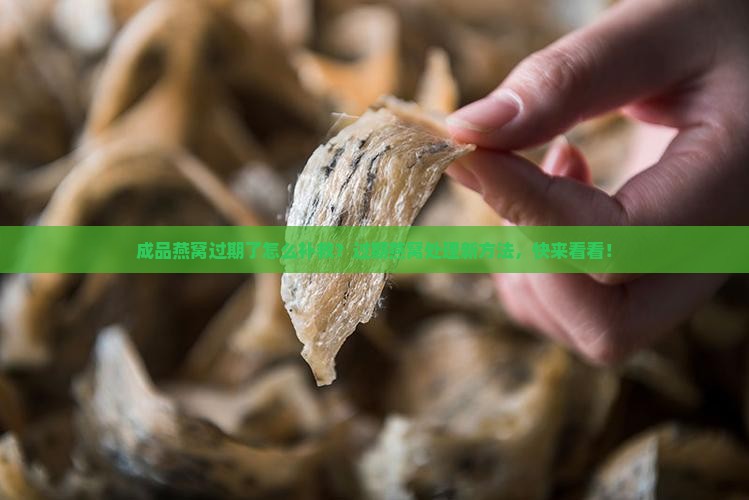 成品燕窝过期了怎么补救？过期燕窝处理新方法，快来看看！