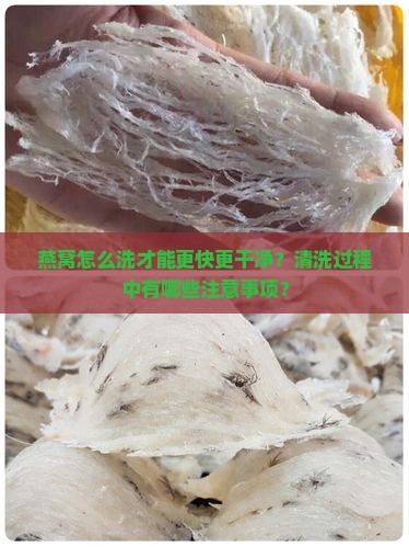 燕窝怎么洗才能更快更干净？清洗过程中有哪些注意事项？