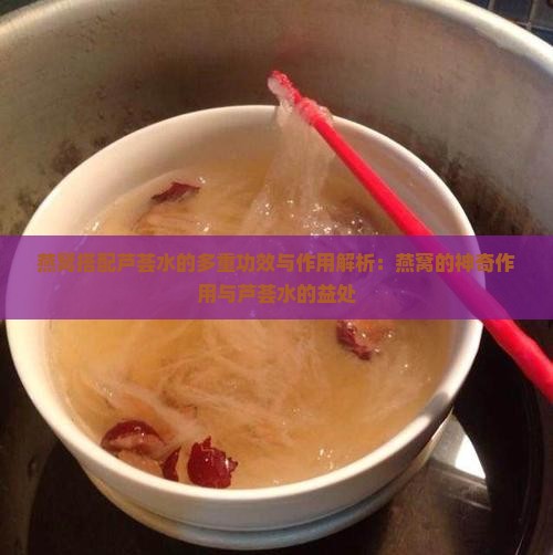 燕窝搭配芦荟水的多重功效与作用解析：燕窝的神奇作用与芦荟水的益处