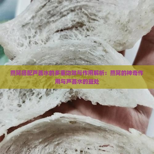 燕窝搭配芦荟水的多重功效与作用解析：燕窝的神奇作用与芦荟水的益处