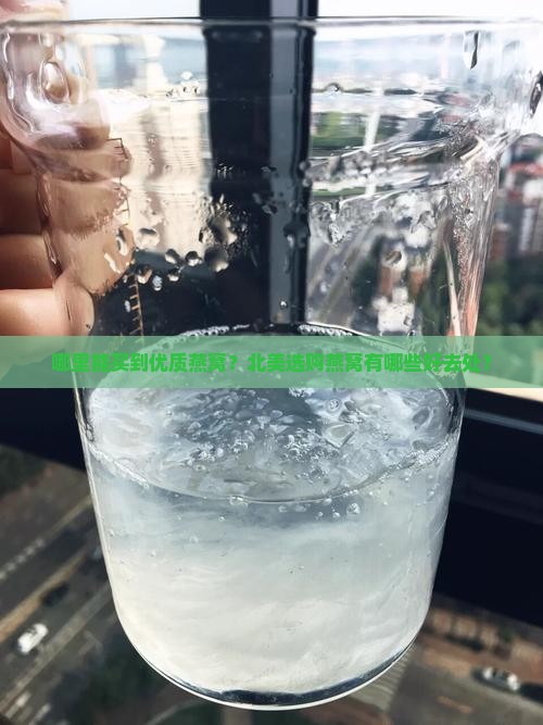 哪里能买到优质燕窝？北美选购燕窝有哪些好去处？
