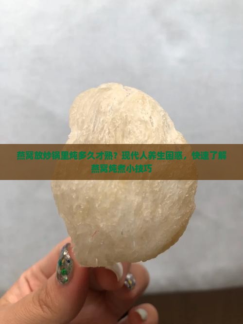 燕窝放炒锅里炖多久才熟？现代人养生困惑，快速了解燕窝炖煮小技巧