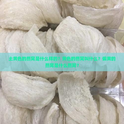 土黄色的燕窝是什么样的？黄色的燕窝叫什么？偏黄的燕窝是什么燕窝？
