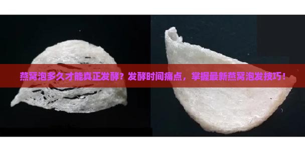 燕窝泡多久才能真正发酵？发酵时间痛点，掌握最新燕窝泡发技巧！