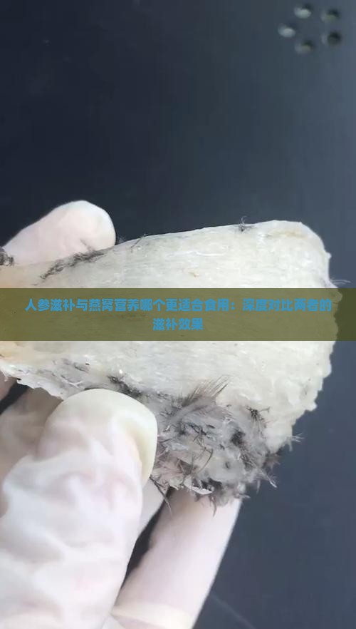 人参滋补与燕窝营养哪个更适合食用：深度对比两者的滋补效果