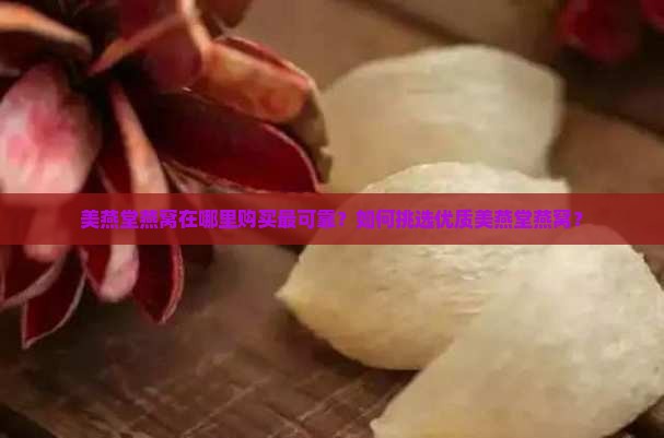 美燕堂燕窝在哪里购买最可靠？如何挑选优质美燕堂燕窝？