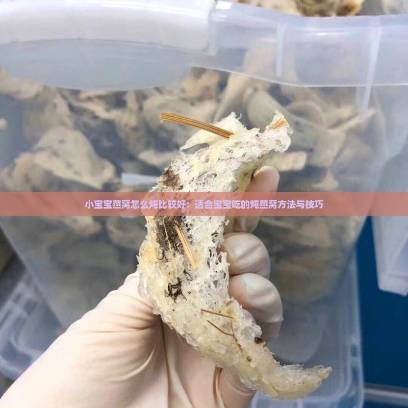 小宝宝燕窝怎么炖比较好：适合宝宝吃的炖燕窝方法与技巧