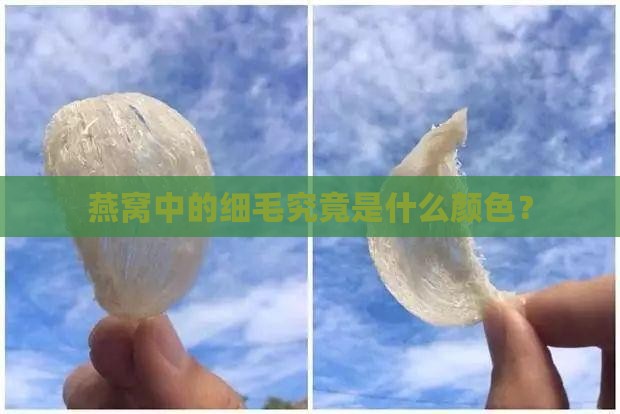 燕窝中的细毛究竟是什么颜色？