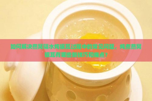 如何解决燕窝隔水炖银耳过程中的常见问题，炖煮燕窝银耳有哪些新技巧和痛点？