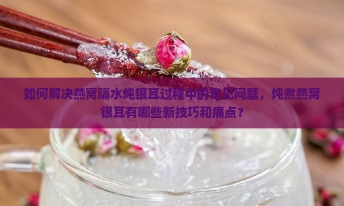 如何解决燕窝隔水炖银耳过程中的常见问题，炖煮燕窝银耳有哪些新技巧和痛点？