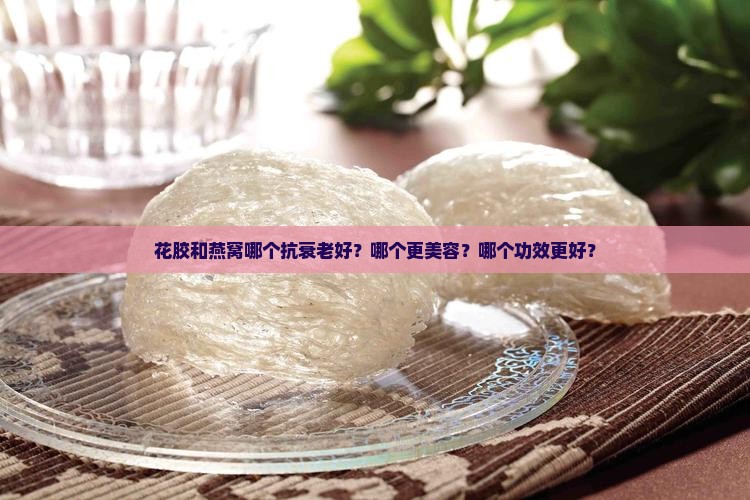 花胶和燕窝哪个抗衰老好？哪个更美容？哪个功效更好？