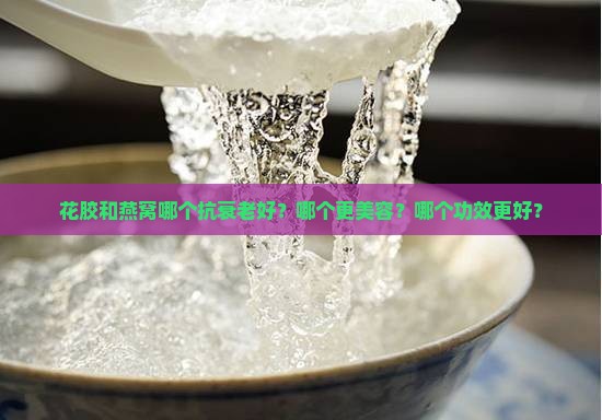 花胶和燕窝哪个抗衰老好？哪个更美容？哪个功效更好？