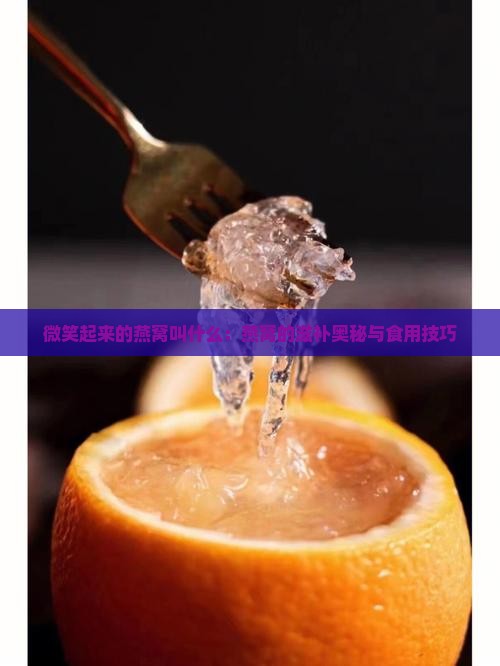 微笑起来的燕窝叫什么：燕窝的滋补奥秘与食用技巧