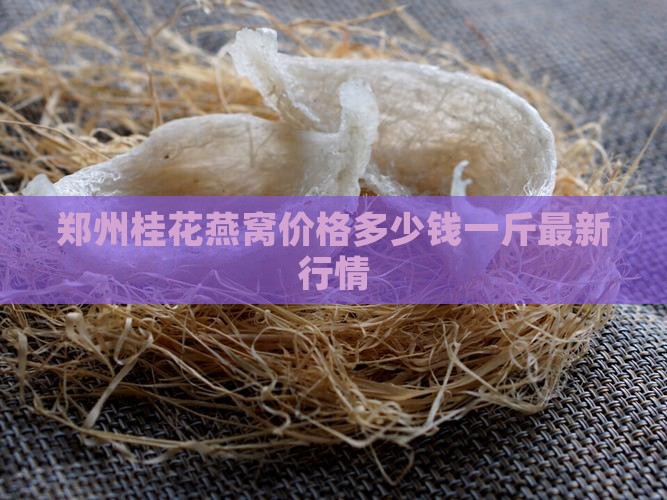 郑州桂花燕窝价格多少钱一斤最新行情