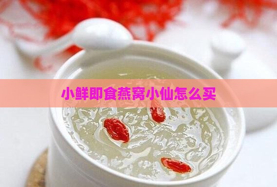 小鲜即食燕窝小仙怎么买