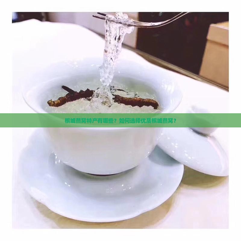 槟城燕窝特产有哪些？如何选择优质槟城燕窝？