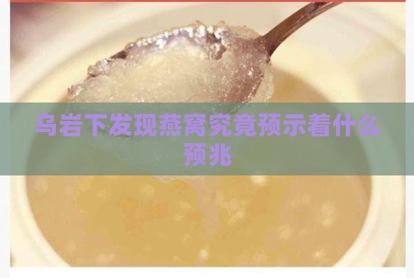 乌岩下发现燕窝究竟预示着什么预兆