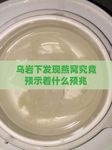 乌岩下发现燕窝究竟预示着什么预兆