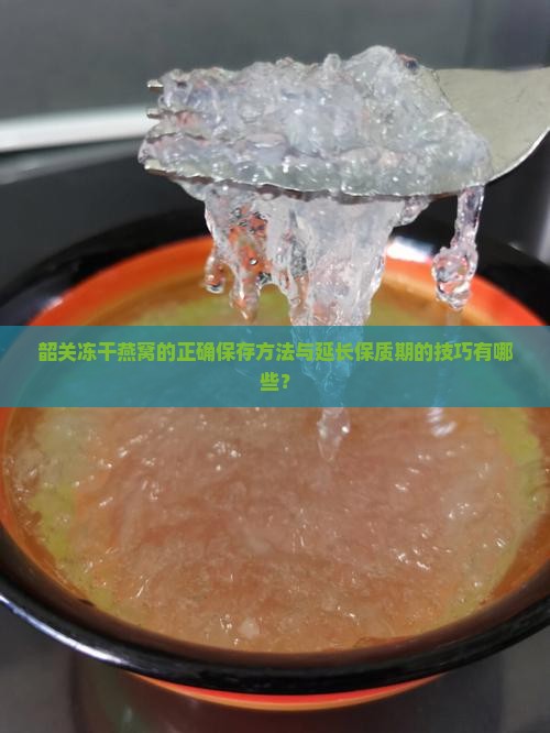 韶关冻干燕窝的正确保存方法与延长保质期的技巧有哪些？