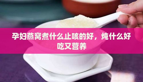 孕妇燕窝煮什么止咳的好，炖什么好吃又营养