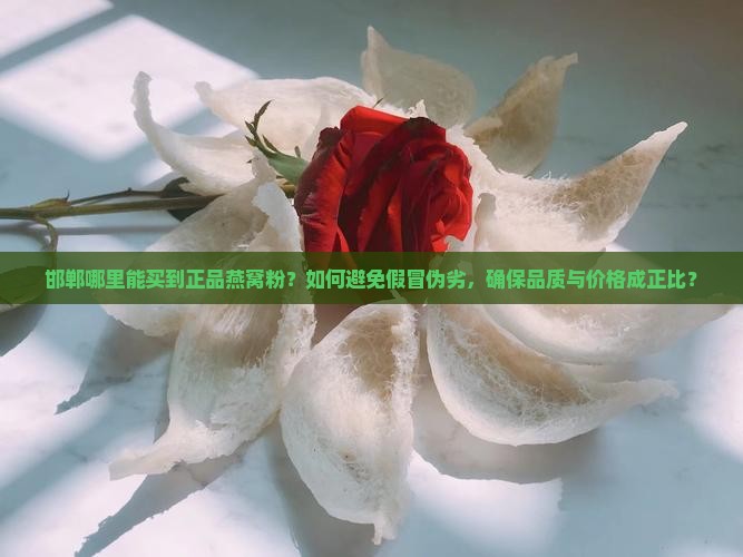 邯郸哪里能买到正品燕窝粉？如何避免假冒伪劣，确保品质与价格成正比？