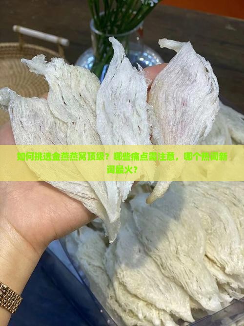 如何挑选金燕燕窝顶级？哪些痛点需注意，哪个热词新词最火？