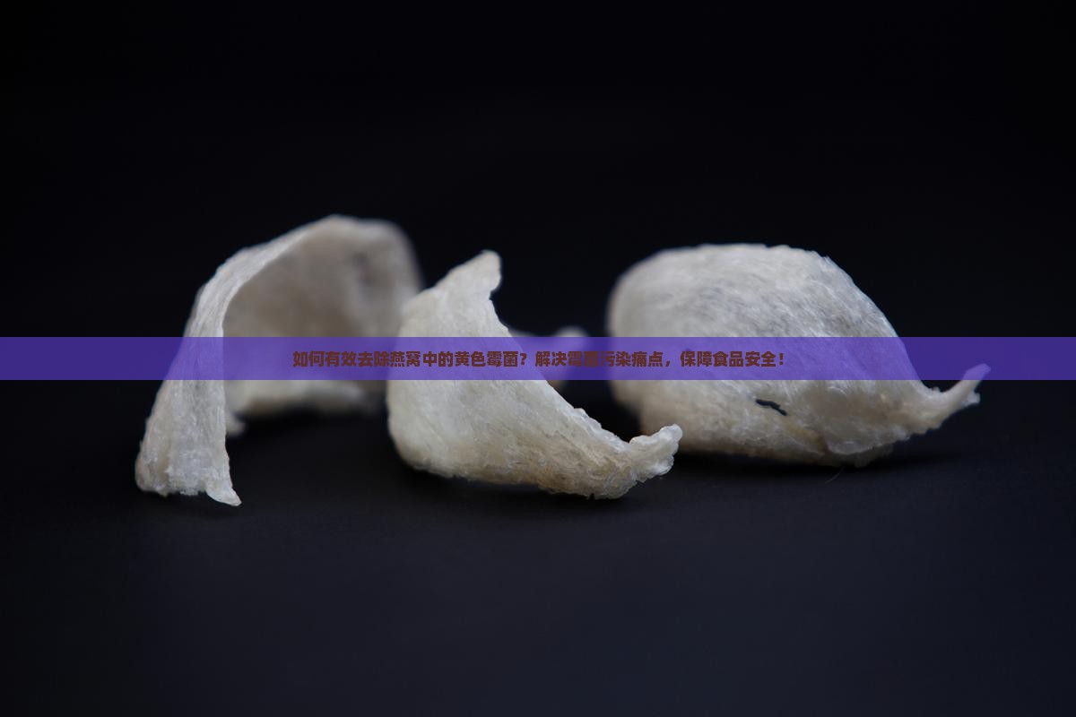 如何有效去除燕窝中的黄色霉菌？解决霉菌污染痛点，保障食品安全！