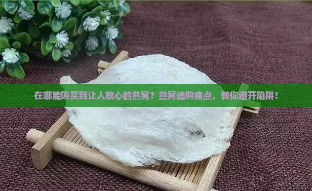 在哪能购买到让人放心的燕窝？燕窝选购痛点，教你避开陷阱！