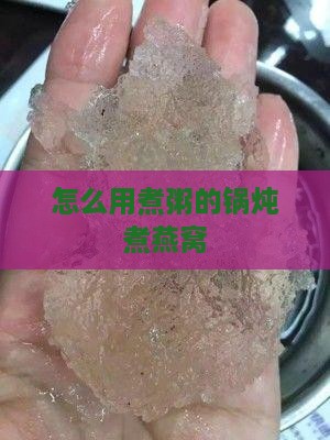 怎么用煮粥的锅炖煮燕窝