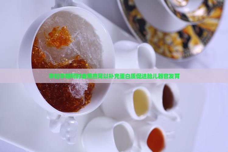 孕妇孕期何时食用燕窝以补充蛋白质促进胎儿器官发育