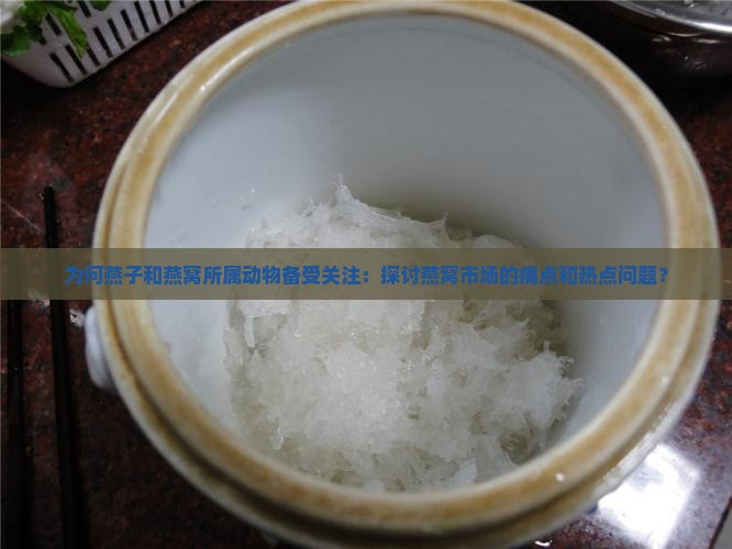为何燕子和燕窝所属动物备受关注：探讨燕窝市场的痛点和热点问题？