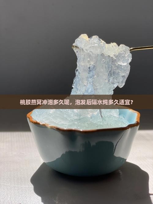 桃胶燕窝冲泡多久呢，泡发后隔水炖多久适宜？