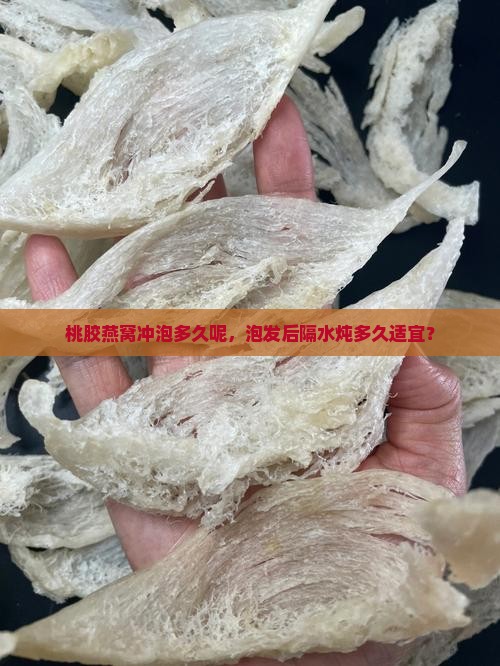 桃胶燕窝冲泡多久呢，泡发后隔水炖多久适宜？