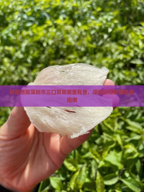 印尼燕窝深圳市三口贸易哪里有售，深圳公司有限信息指南