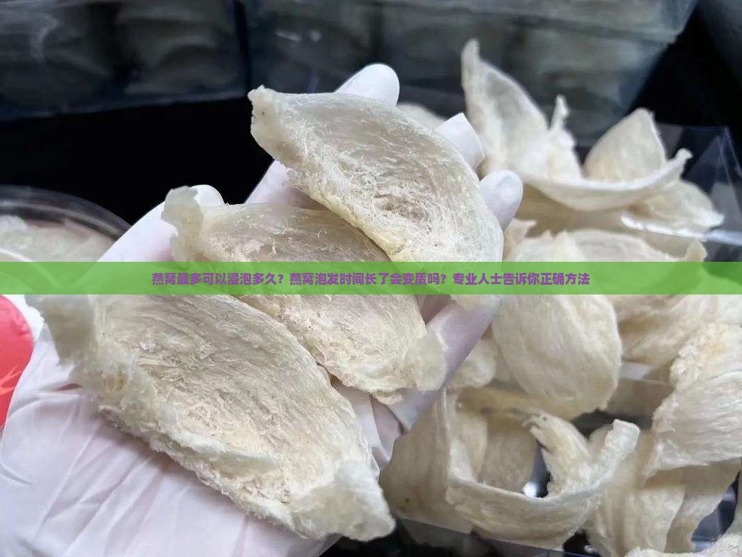 燕窝最多可以浸泡多久？燕窝泡发时间长了会变质吗？专业人士告诉你正确方法