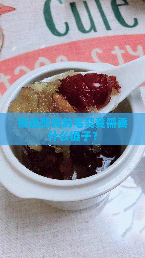 挑选燕窝的毛究竟需要什么镊子？
