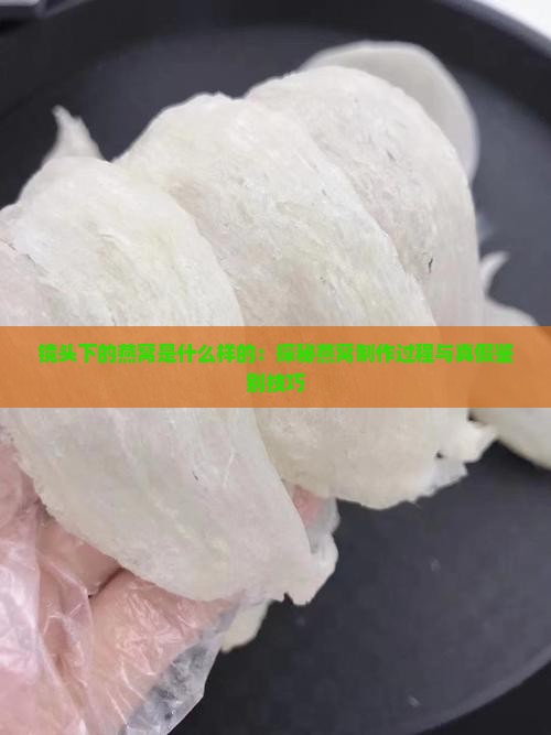 镜头下的燕窝是什么样的：探秘燕窝制作过程与真假鉴别技巧
