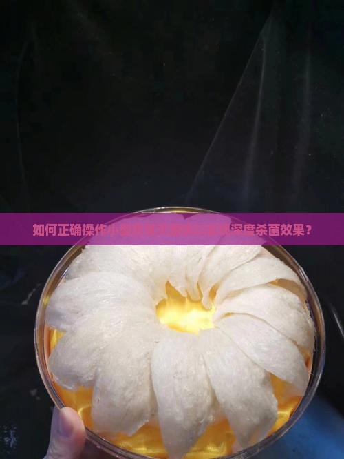如何正确操作小型燕窝灭菌锅以实现深度杀菌效果？