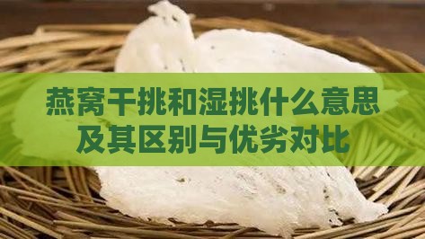 燕窝干挑和湿挑什么意思及其区别与优劣对比