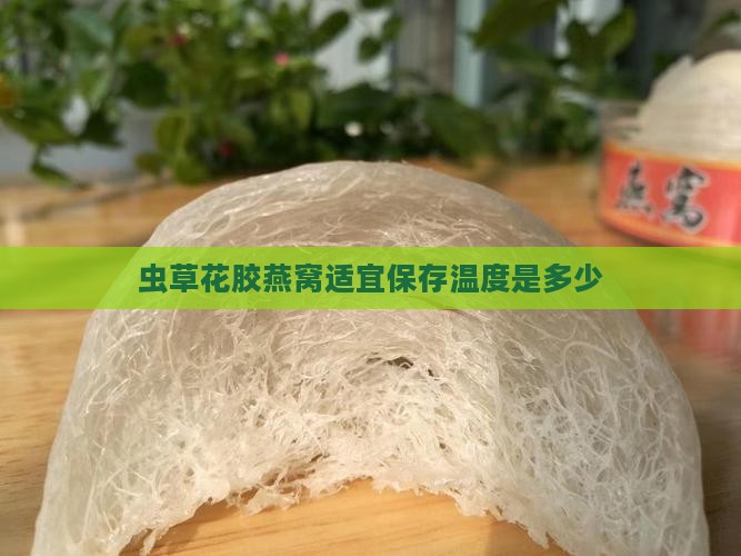 虫草花胶燕窝适宜保存温度是多少