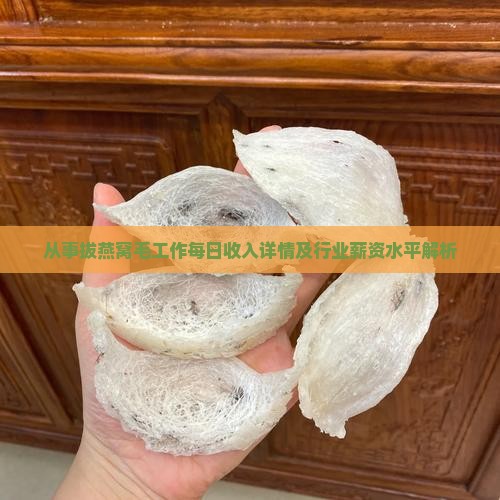 从事拔燕窝毛工作每日收入详情及行业薪资水平解析