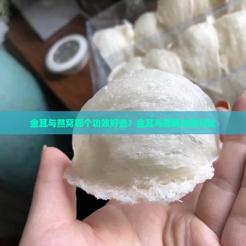 金耳与燕窝哪个功效好些？金耳与燕窝功效对比